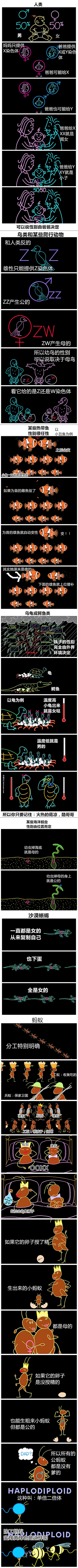 xnxn30采集到科技