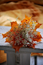 Autumn's Bouquet~