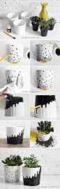 简单花盆装饰，黑白色对比 #DIY# #手工#