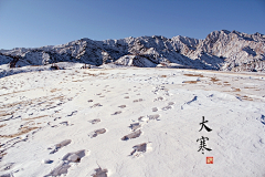 多鱼西采集到背景-----雪