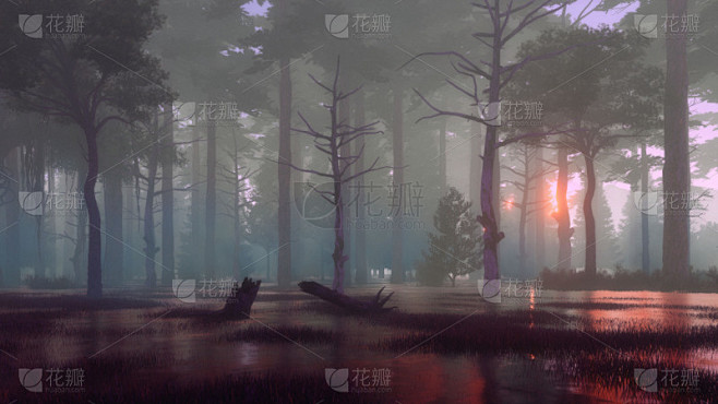 黄昏,黎明,暗色,秘密,沼泽,森林,雾,地形,曙暮光,夜晚