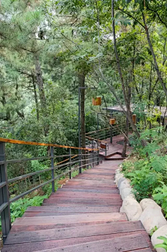0芜湖0采集到山地