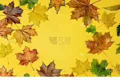 把秋天的落叶平铺在黄色的背景上，留下空白来复印或写文字。俯视图秋季概念。秋天的背景。