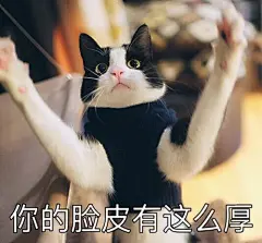 QQ截图20170417131922