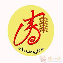 春节主题形象标识(logo)征集-log...