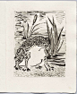 点击还原，The Toad (Le Crapaud) (plate XXIX, facing page 150) from Eaux Fortes originales pour textes du Buffo-