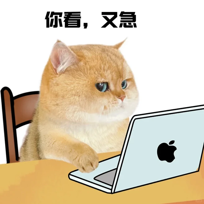 XX不语只是一味XX