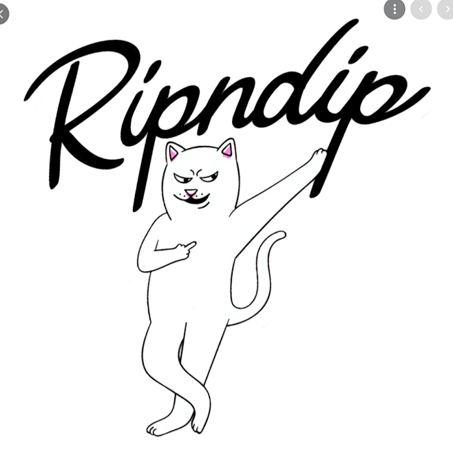 ripndip - Google 搜尋