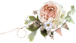 欧式复古古典唯美花卉纹理蕾丝免抠PNG图案 手账设计PS素材 (43)