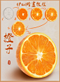 画橙子皮特别好用的笔刷iPad美食教程橙子
