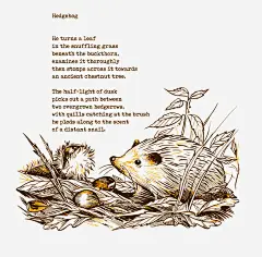 故事书小刺猬插画免抠素材 矢量 设计图片 免费下载 页面网页 平面电商 创意素材 png素材