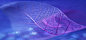 蓝紫色调,叶纹,海报banner,质感,纹理图库,png图片,网,图片素材,背景素材,3804194@北坤人素材