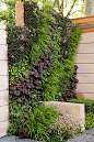 living wall