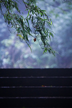 苏莫言采集到意境