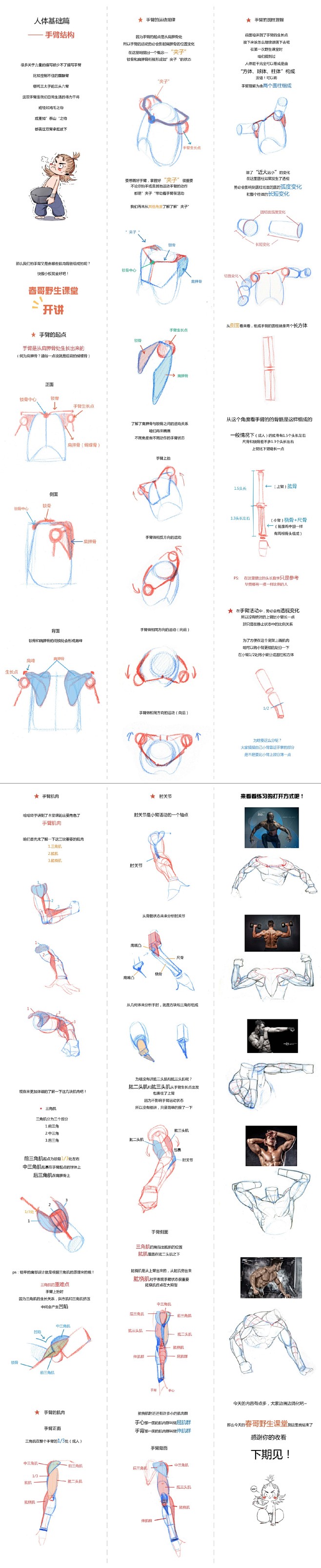 春哥野生课堂-人体基础篇-手臂结构（此图...