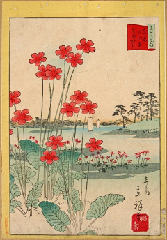 蘑菇塔罗采集到浮世绘