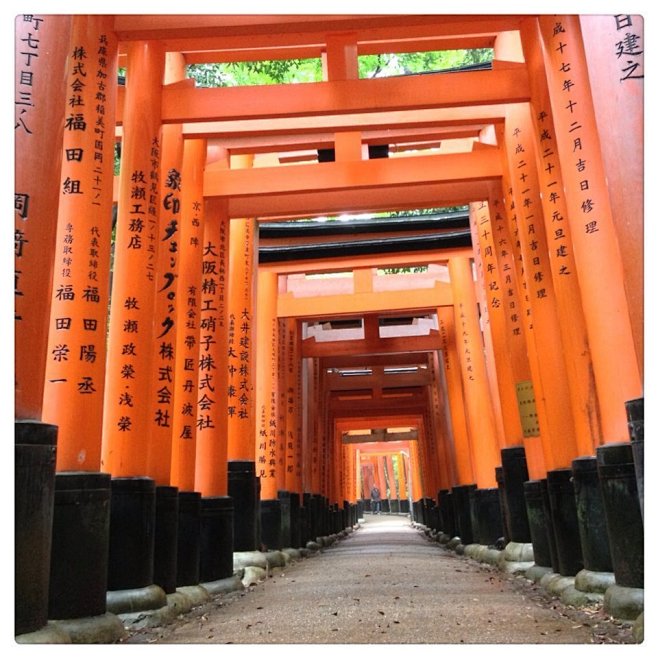 京都伏见稻荷大社是遍布日本全国的3万余座...