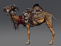 Sheared Camel