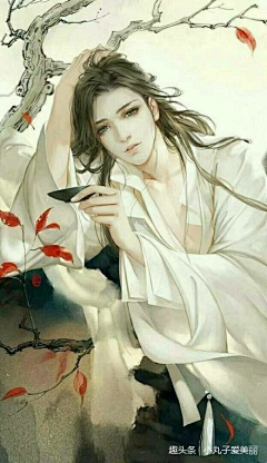 梓树君采集到服饰装饰设计

