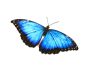 3267716_085212065095_2