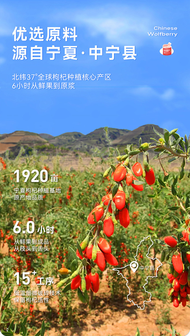 【618狂欢】谢怡黑枸杞原浆 宁夏鲜果鲜...