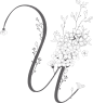 唯美婚礼素描字母花卉植物海报请柬装饰免抠PNG元素图案PS合集 (25)