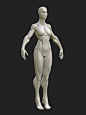 Stylized Female Blockout v1