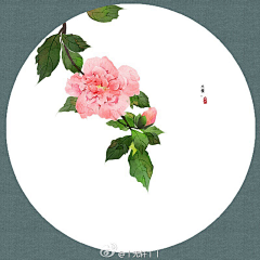 薄荷夏天鲤采集到文艺