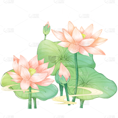 玉中锦萍采集到插画-荷叶（元素）