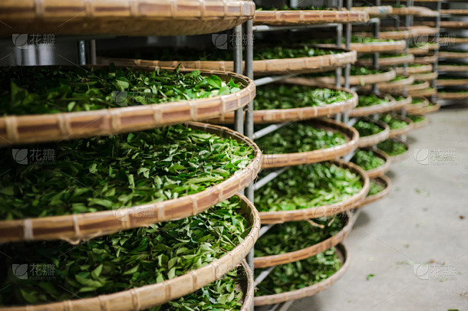 茶,花蕾,叶子,清新,有机食品,乌龙茶,...