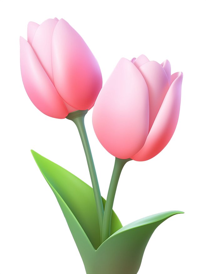 ii