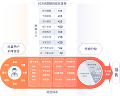 意大利弹面采集到行业策略