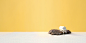 DICHTER. 3 : What an awesome project this was! Plint asked me to illustrate a whole magazine filled with poems for children from 6-106. Which made for this dreamy, soft and sweet world, built from paper, spices and rocks. www.plint.nl