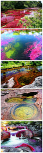 真正的彩虹河，见过咩？美得惊艳！哥伦比亚有一条名叫CanoCristales的河，河里有不同颜色的藻类植物，由于它在每年的一段时期内会显现好几种颜色，人们把它称为彩虹河或五色河 可此景只昙花一现