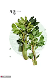 香椿芽 可口青菜 手绘植物 美食插图插画设计PSD ti332a3501食品插画素材下载-优图-UPPSD