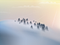 Fog