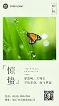 惊蛰节气问候祝福春天日签手机海报
