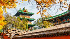 红花小姐采集到风景