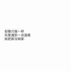 甚欢77777采集到字