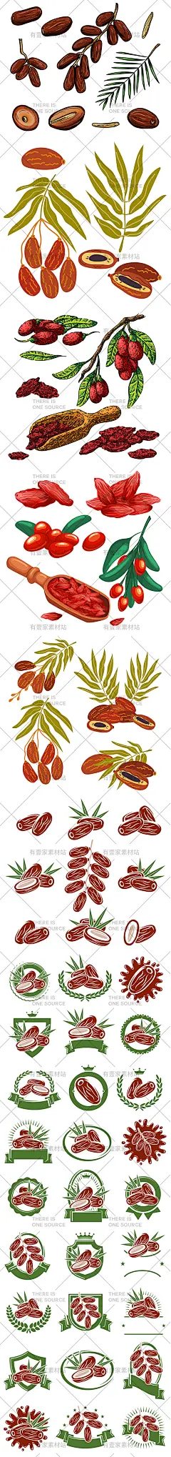 手绘养生食品新鲜红枣枸杞干枣干红枣枸杞LOGO插画AI矢量设计素材-淘宝网