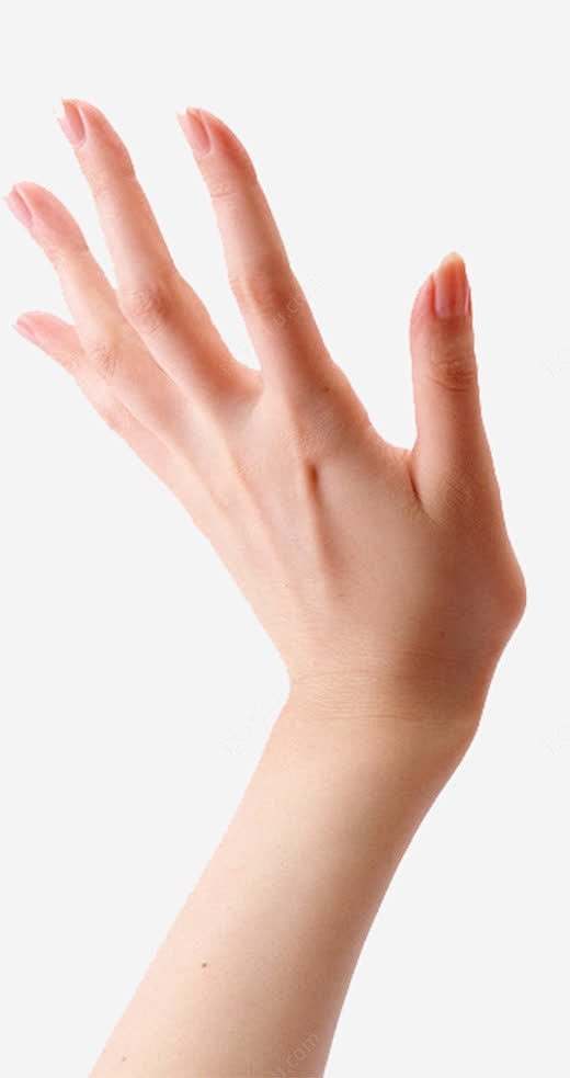 女人的手png免抠素材_新图网 http...