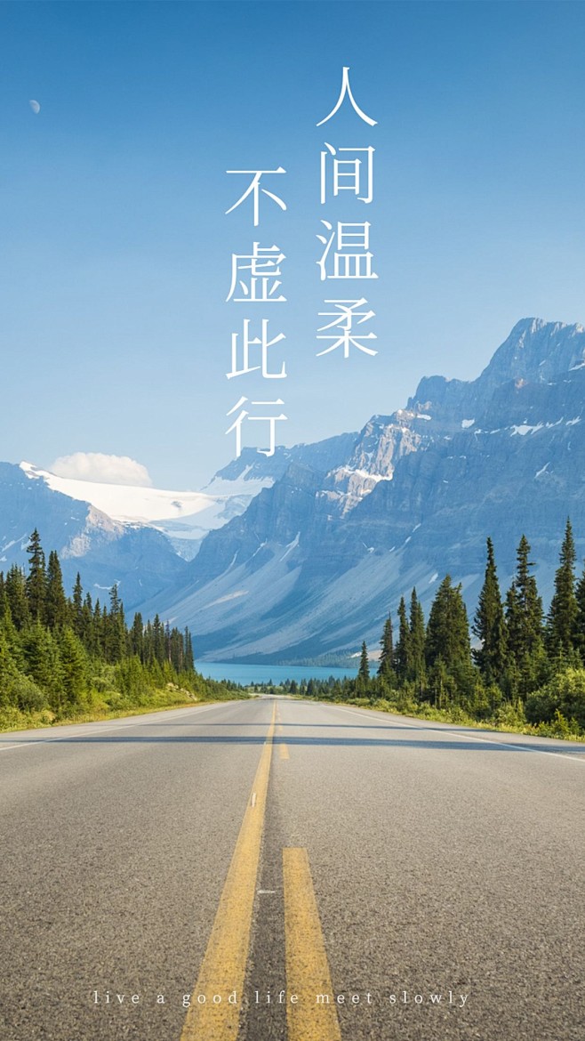 简约实景轻设计竖版视频封面套装