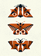 Moths dribbble