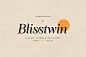 Bilsstwin Font英伦欧风杂志排版标题Logo设计衬线英文字体安装包-淘宝网