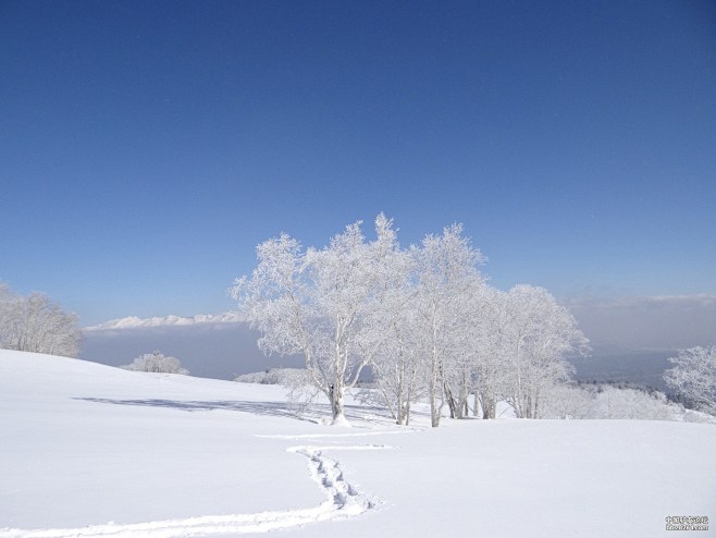 让人窒息的美---大美张草帽，2人雪洞露...