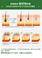 普丽普莱 锯棕榈复合提取物胶囊 100粒 防脱发男性 改善前列腺-tmall.hk天猫国际