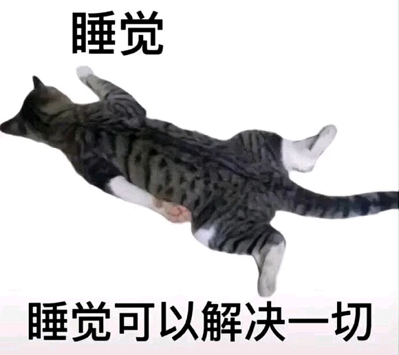 来点猫meme_meme图吧_百度贴吧-花瓣网