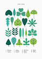 Simple natural illustrations by Sarah Abbott | Partfaliaz