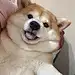 情医i