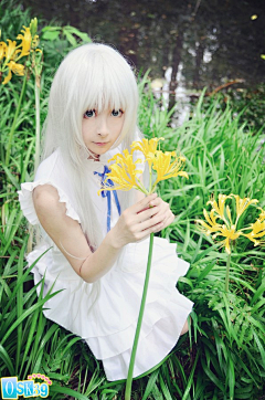 愛雨の子供采集到Let‘s cosplay~